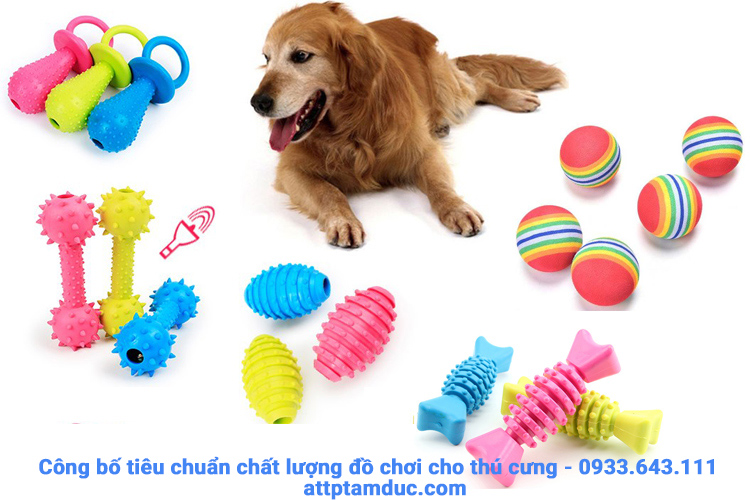 Công bố tiêu chuẩn chất lượng đồ chơi cho thú cưng (pet toys)