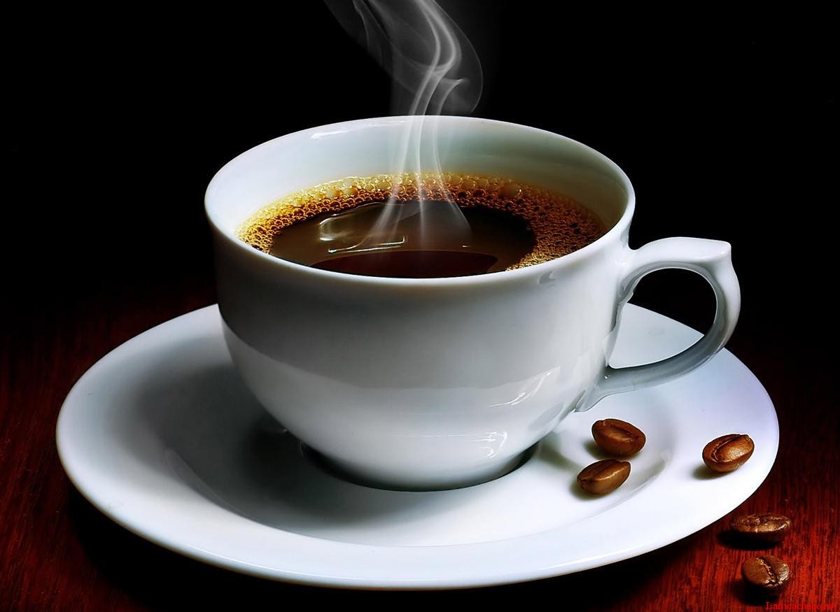 Kiểm nghiệm chất lượng cà phê (cà phê hạt rang, cà phê rang xay, cà phê bột, cà phê hòa tan...)